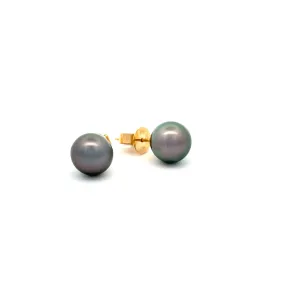 18K Yellow Gold Tahitian Cultured 8 -9mm Pearl Stud Earrings