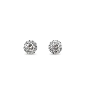 Brilliant Cut Halo Diamond Earrings - Platinum