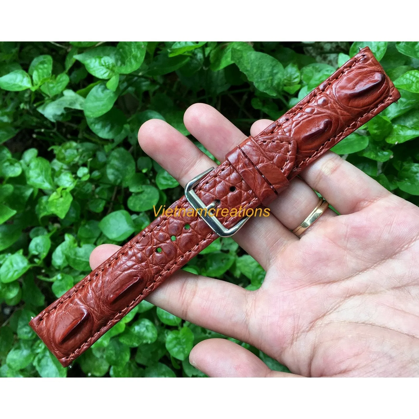 Brown Hornback Alligator Leather Watch Band | Crocodile Quick Release Replacement Wristwatch Strap | DH-38