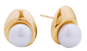 DJE310897 14K Button Pearl Post Earrings