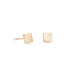 Earrings Square stainless steel rose gold