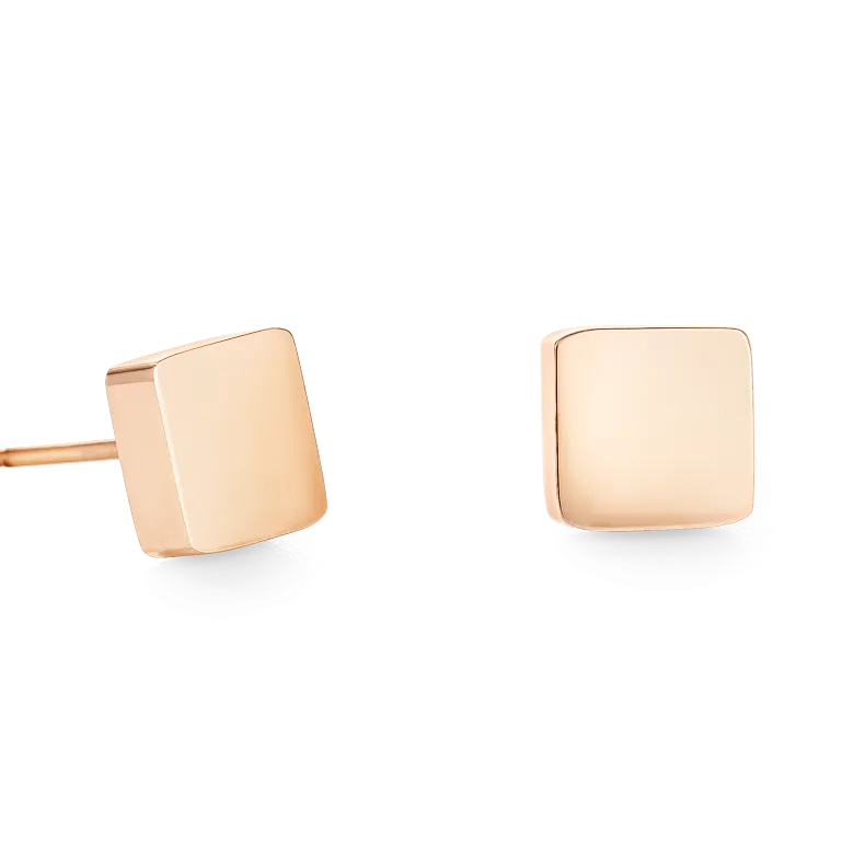 Earrings Square stainless steel rose gold