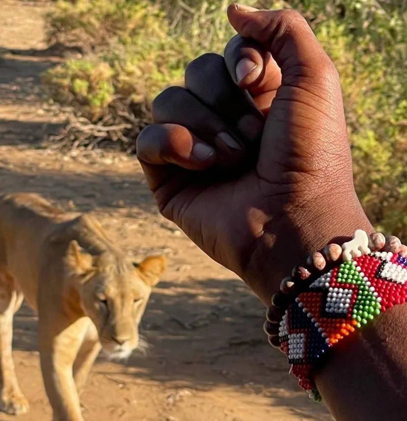 Fahlo Wildlife Tracking Bracelets- Lion