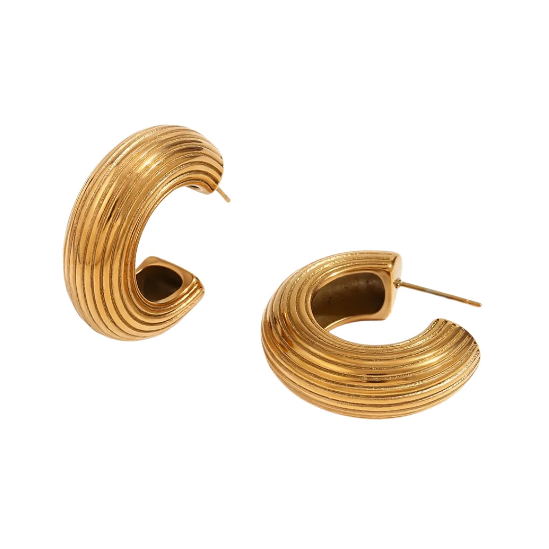 Pre Order:  Exaggerated Retro Brushed C-Shaped Earrings