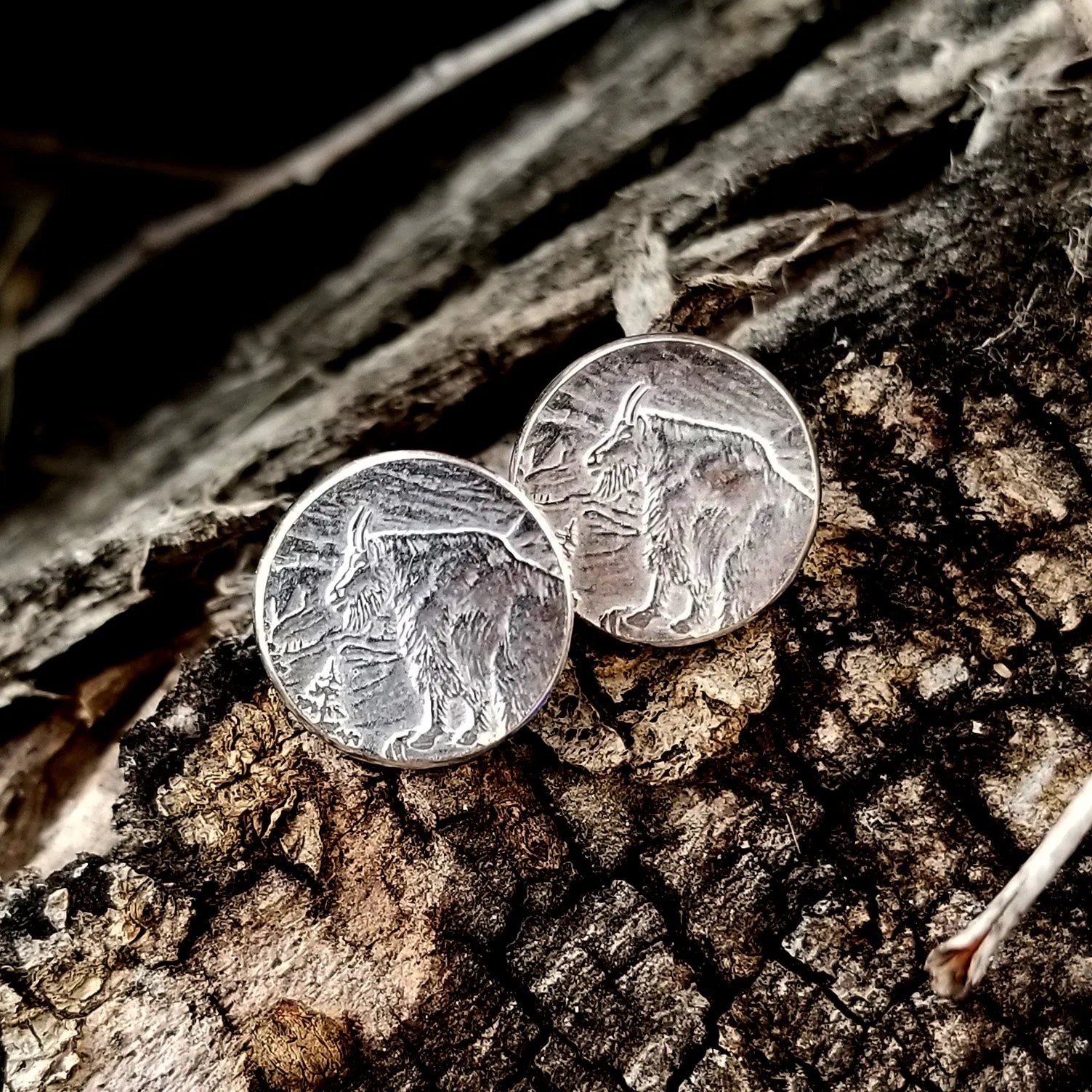 Silver Glacier National Park Quarter Punch Out Stud Earrings